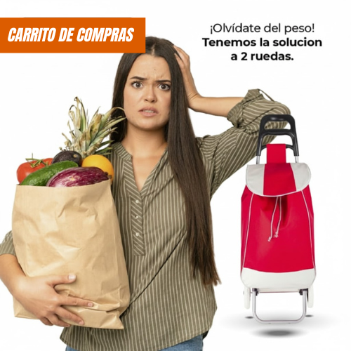 Carrito de compras plegable