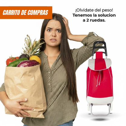 Carrito de compras plegable