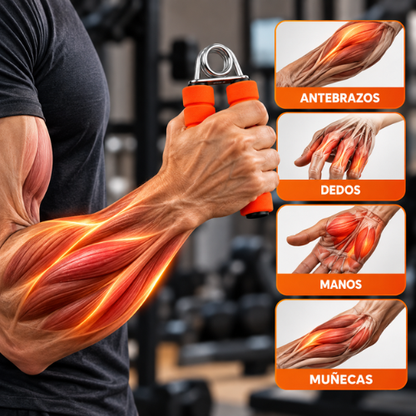 EJERCITADOR DE ANTEBRAZO