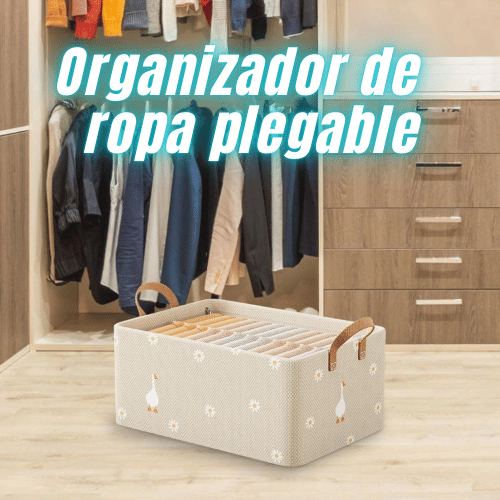 ORGANIZADOR DE ROPA PLEGABLE CON DISEÑO