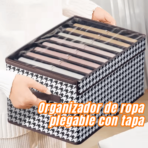 ORGANIZADOR DE ROPA PLEGABLE CON TAPA